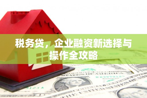 玄武税务贷，企业融资新选择与操作全攻略
