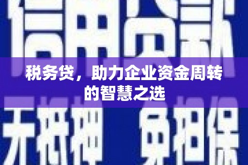 石屏税务贷，助力企业资金周转的智慧之选