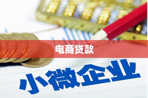 定结电商贷款