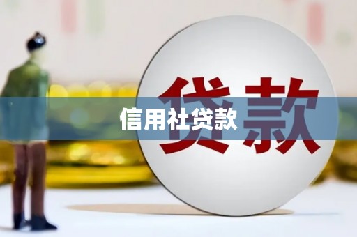 靖州信用社贷款