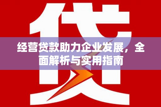 云浮经营贷款助力企业发展，全面解析与实用指南