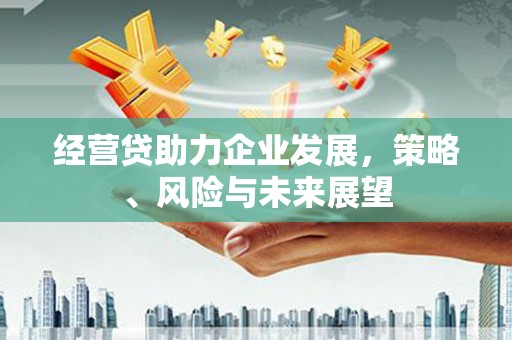 华宁经营贷助力企业发展，策略、风险与未来展望