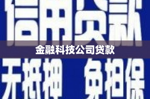 吉县金融科技公司贷款