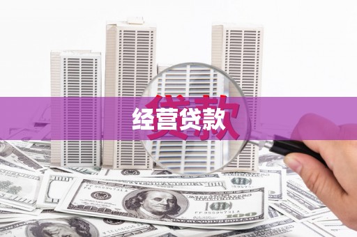 施甸经营贷款