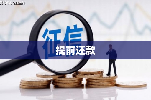 三湾提前还款