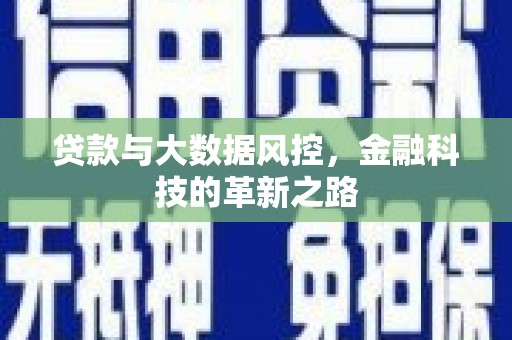 阜阳贷款与大数据风控，金融科技的革新之路