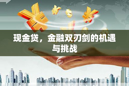 信阳现金贷，金融双刃剑的机遇与挑战