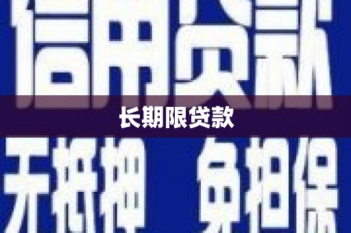 沧县长期限贷款