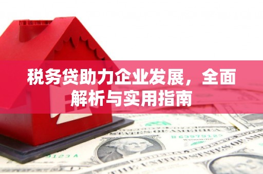 鲅鱼圈税务贷助力企业发展，全面解析与实用指南