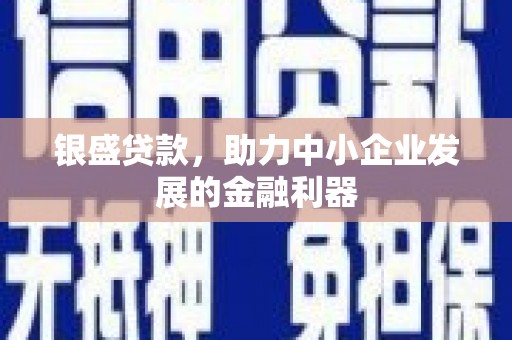 林西银盛贷款，助力中小企业发展的金融利器