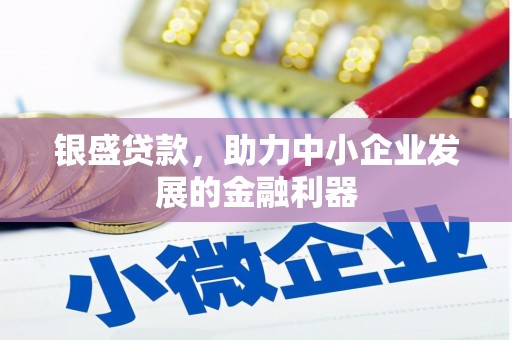 林西银盛贷款，助力中小企业发展的金融利器