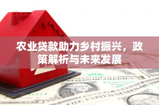 树林农业贷款助力乡村振兴，政策解析与未来发展