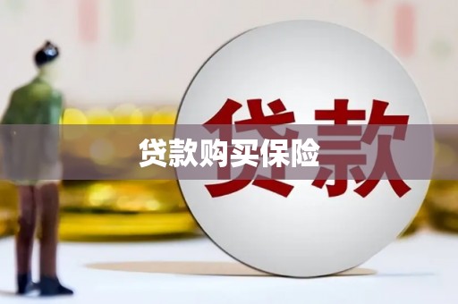 新县贷款购买保险