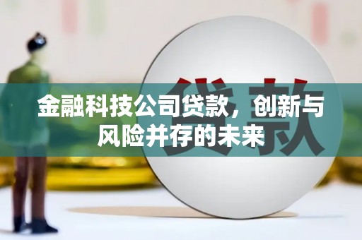 云和金融科技公司贷款，创新与风险并存的未来