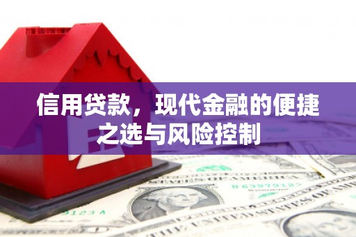 工布江达信用贷款，现代金融的便捷之选与风险控制