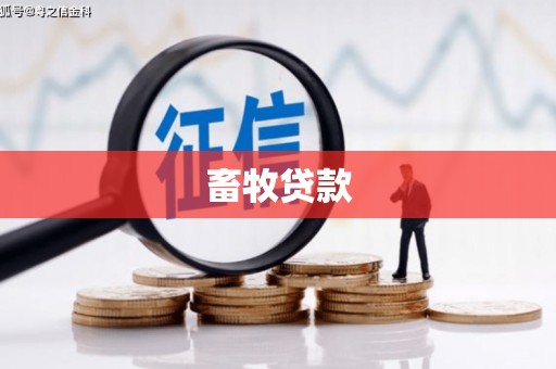 安陆畜牧贷款