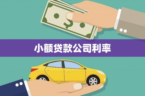 滦县小额贷款公司利率