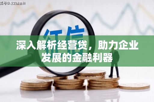 新埤深入解析经营贷，助力企业发展的金融利器