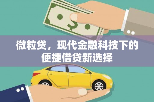 东安微粒贷，现代金融科技下的便捷借贷新选择
