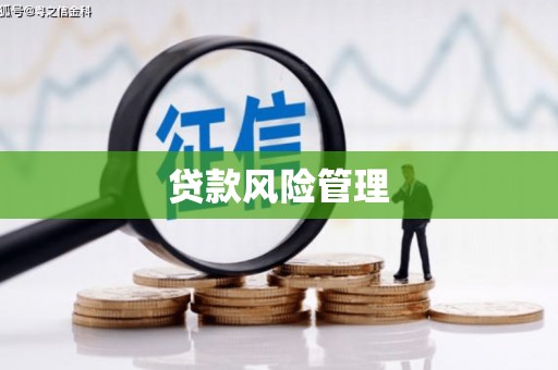 淡水贷款风险管理