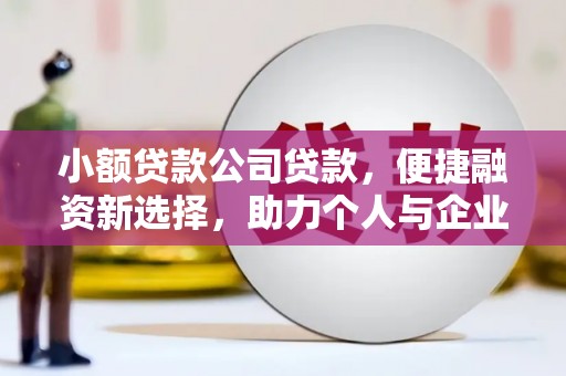 新园小额贷款公司贷款，便捷融资新选择，助力个人与企业成长