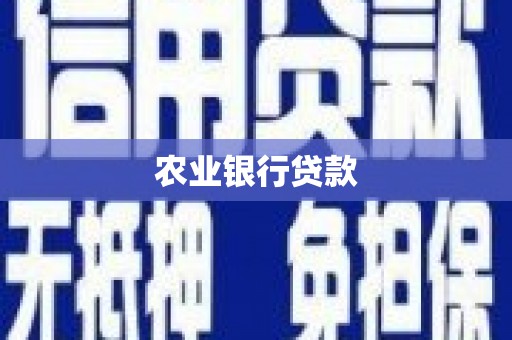 槐荫农业银行贷款