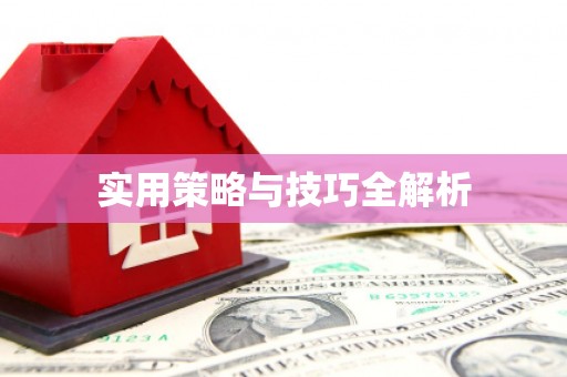 佳县实用策略与技巧全解析