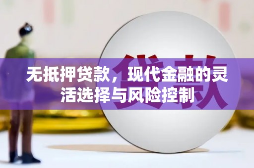 嘉兴无抵押贷款，现代金融的灵活选择与风险控制