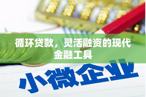 泽普循环贷款，灵活融资的现代金融工具