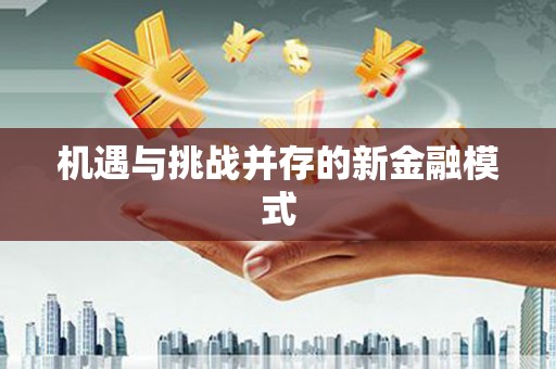 沙洋机遇与挑战并存的新金融模式