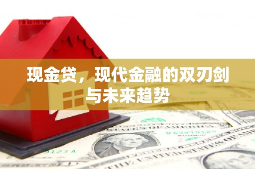 西市现金贷，现代金融的双刃剑与未来趋势