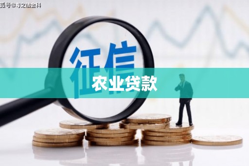 酉阳农业贷款