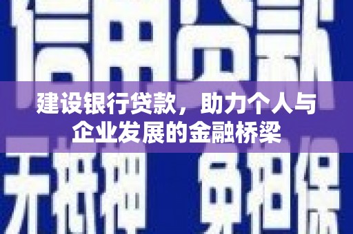新沂建设银行贷款，助力个人与企业发展的金融桥梁