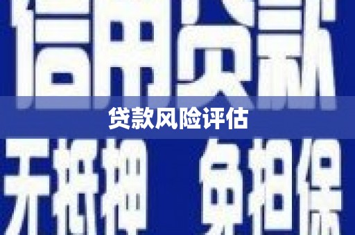 囊谦贷款风险评估