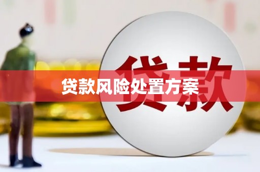台南贷款风险处置方案