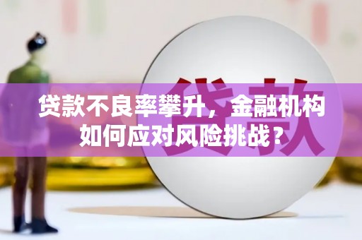 那玛夏贷款不良率攀升，金融机构如何应对风险挑战？