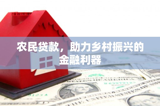 二仑农民贷款，助力乡村振兴的金融利器