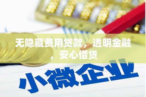 武宣无隐藏费用贷款，透明金融，安心借贷