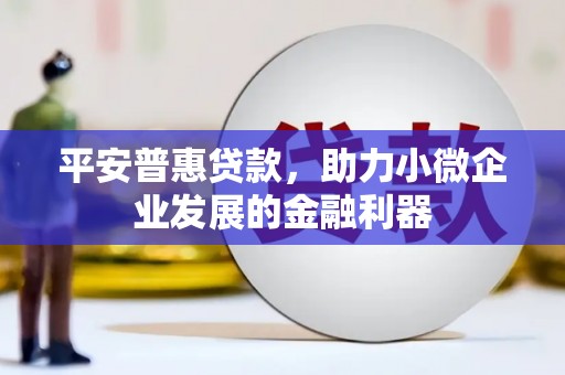 洛扎平安普惠贷款，助力小微企业发展的金融利器