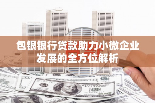 阳朔包银银行贷款助力小微企业发展的全方位解析