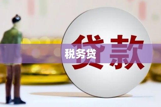 开县税务贷
