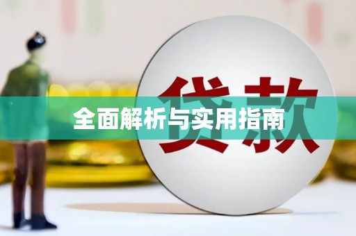平舆全面解析与实用指南