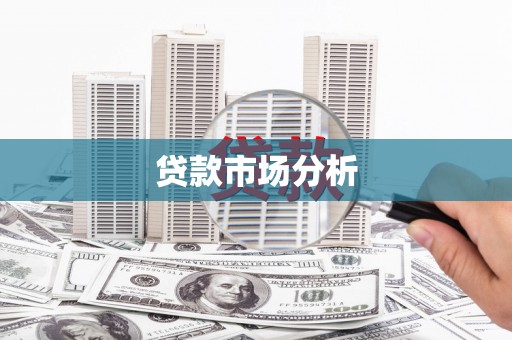 勐海贷款市场分析