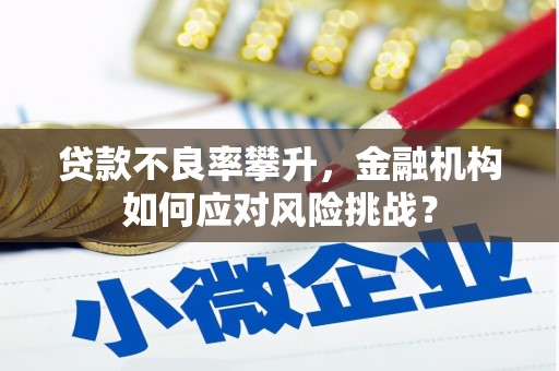 南化贷款不良率攀升，金融机构如何应对风险挑战？
