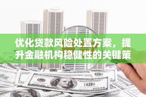 红安优化贷款风险处置方案，提升金融机构稳健性的关键策略
