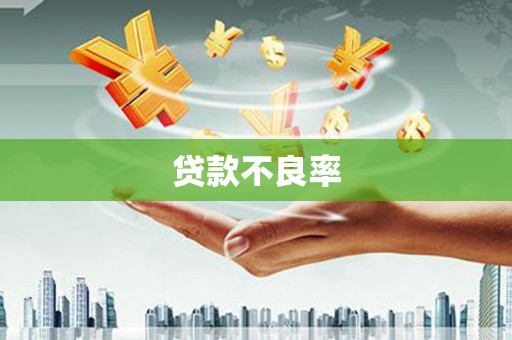 邵东贷款不良率