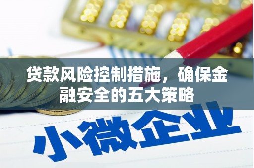 兴国贷款风险控制措施，确保金融安全的五大策略