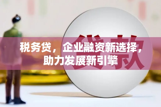 汉源税务贷，企业融资新选择，助力发展新引擎