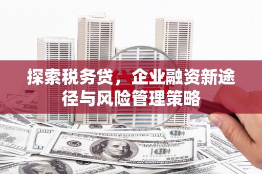 浔阳探索税务贷，企业融资新途径与风险管理策略