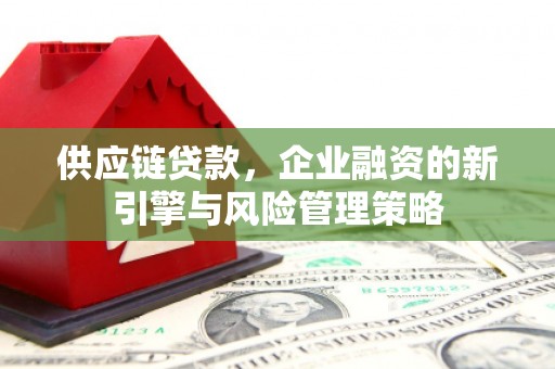 雨城供应链贷款，企业融资的新引擎与风险管理策略